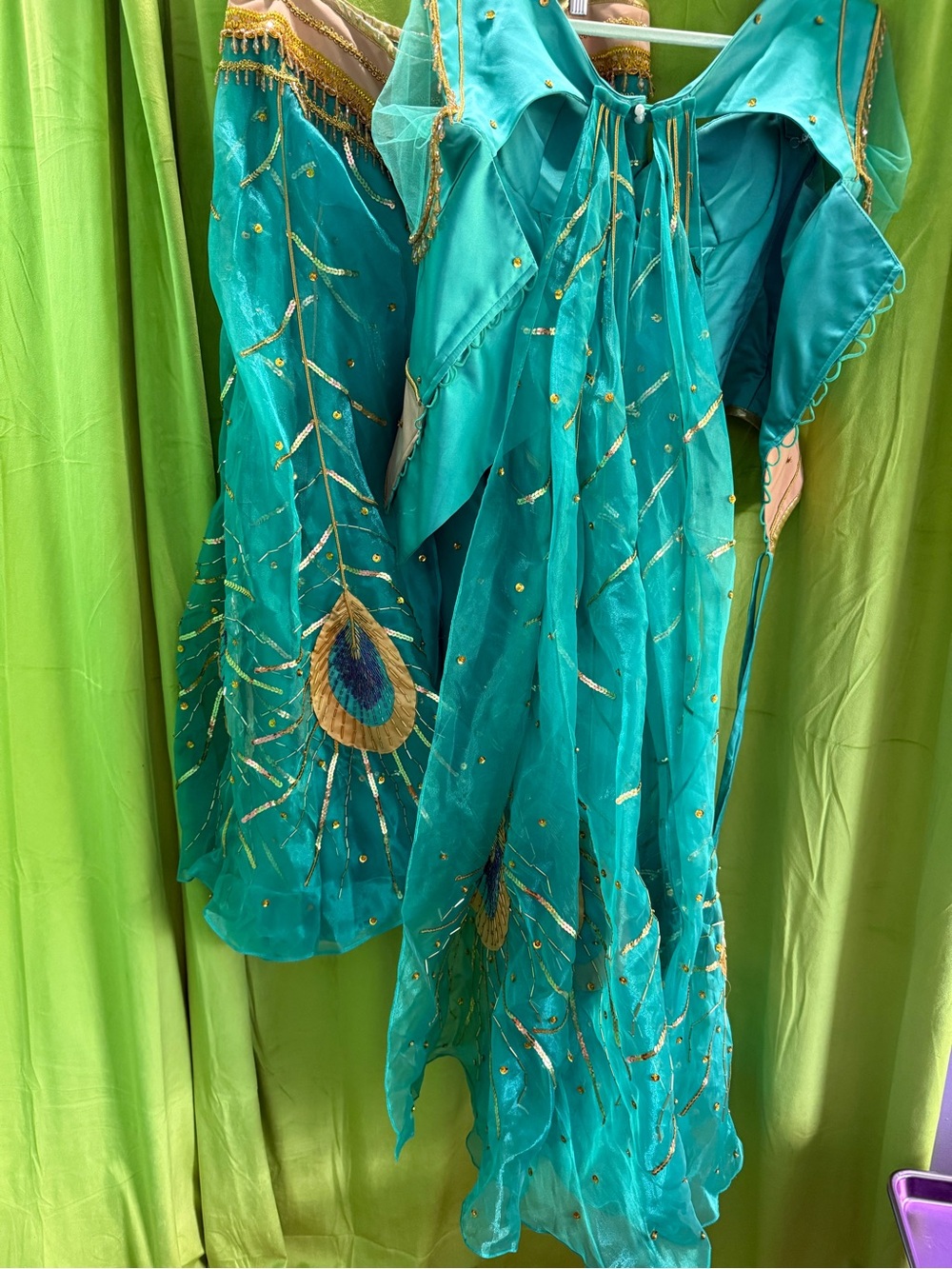 Jasmine Cosplay Costume Live Action by Molly Nguyen - Picture 10 of 16